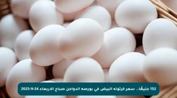 152 جنيهًا.. سعر كرتونة البيض في بورصة الدواجن صباح الأربعاء 24-9-2025